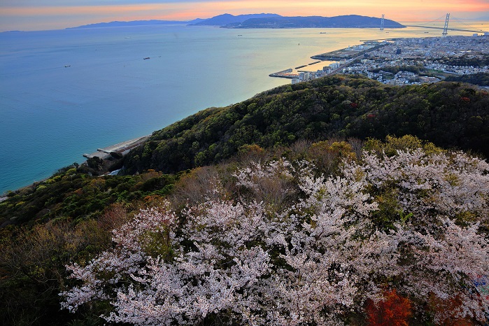 入賞「須磨ノ浦夕暮れ」