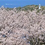 洲本市_生石公園