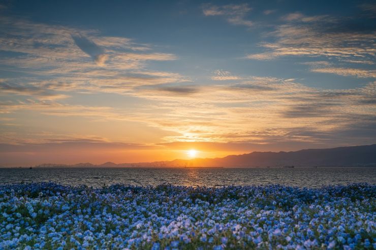 優秀賞「青に沈む夕日」