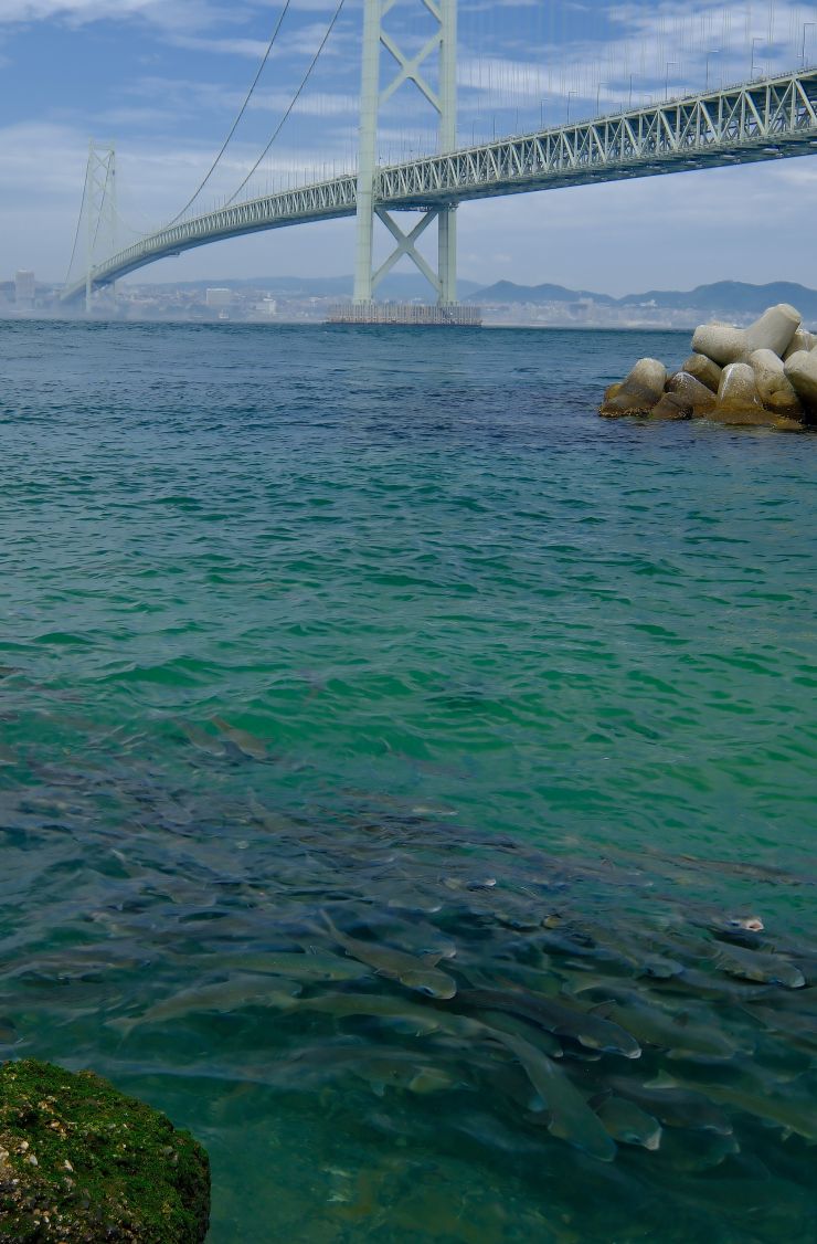 大阪湾わたしのとっておき賞「南港の出初式」