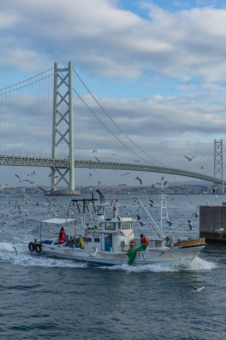 入賞「海鳥集う大阪湾」