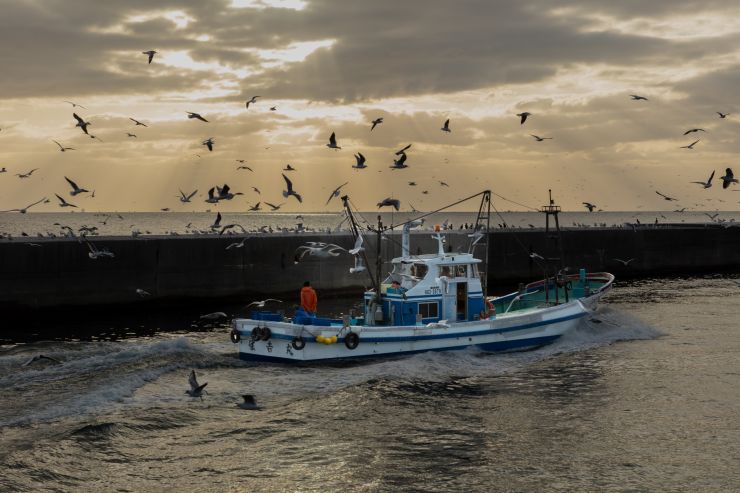 入賞「Marbelous Light View Of Osaka Bay」