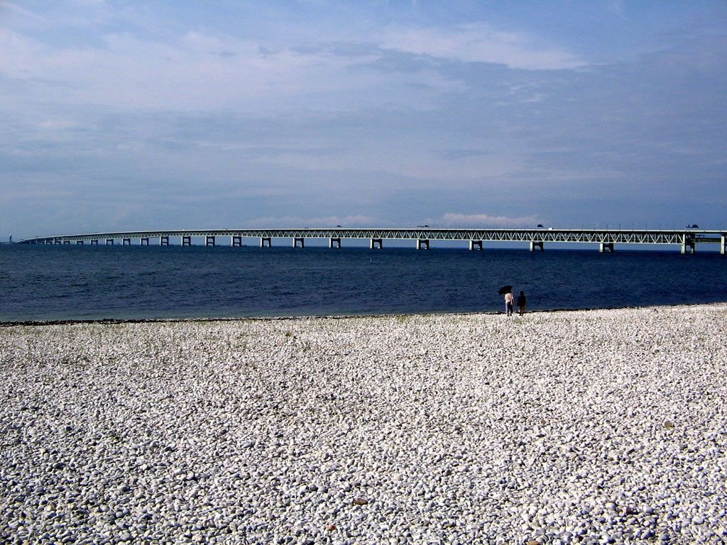 <h5>マーブルビーチ（泉南市、田尻町、泉佐野市）</h5>白砂海岸のマーブルビーチは全長2.8キロメートルにも続きます。