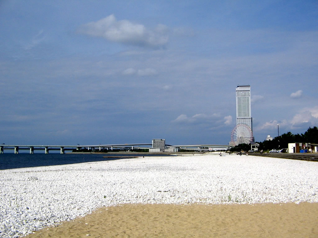 <h5>マーブルビーチ（泉南市、田尻町、泉佐野市）</h5>りんくう公園は世界に開かれた大阪の玄関口、関西国際空港の対岸にある公園です。