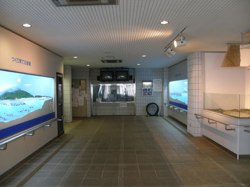 <h5>大阪府環境農林水産総合研究所水産技術センター（岬町）</h5>展示コーナーでは、大阪湾の漁業を模型やビデオで紹介しているほか、クロダイやオニオコゼ、ヒラメなどを展示しています。