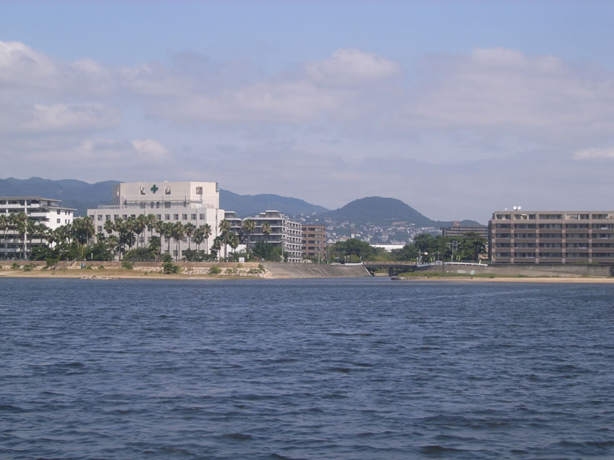 <h5>香櫨園浜・甲子園浜（西宮市）</h5>香櫨園浜。夙川河口の向こうに見えるのが甲山です。