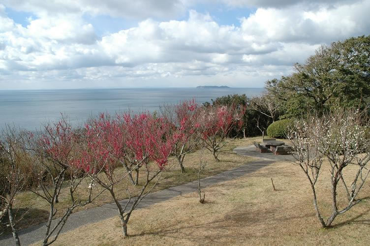 <h5>生石公園（洲本市）</h5>あわじ花へんろ31番「花の札所」に認定され、梅の名所としても名高いところです。